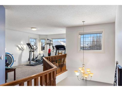 123 Chapala Crescent Se, Calgary, AB - Indoor Photo Showing Gym Room
