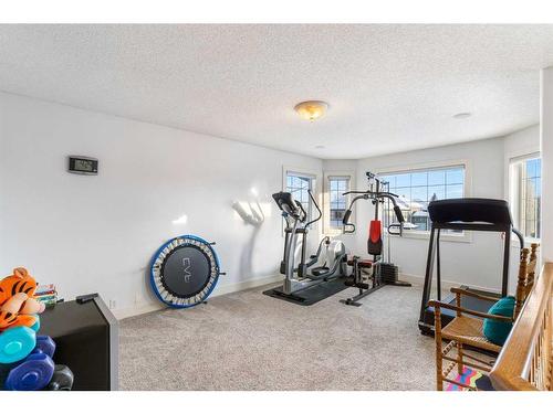 123 Chapala Crescent Se, Calgary, AB - Indoor Photo Showing Gym Room