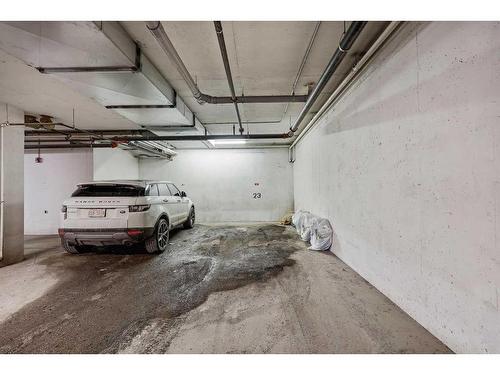 101-3501 15 Street Sw, Calgary, AB - Indoor Photo Showing Garage
