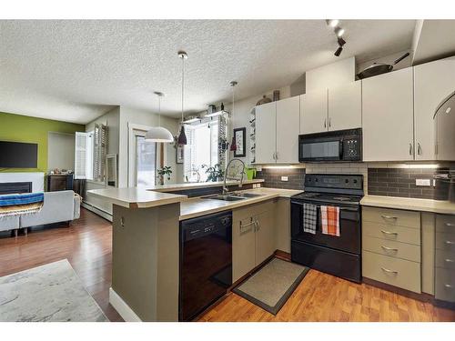 101-3501 15 Street Sw, Calgary, AB - Indoor Photo Showing Kitchen With Double Sink