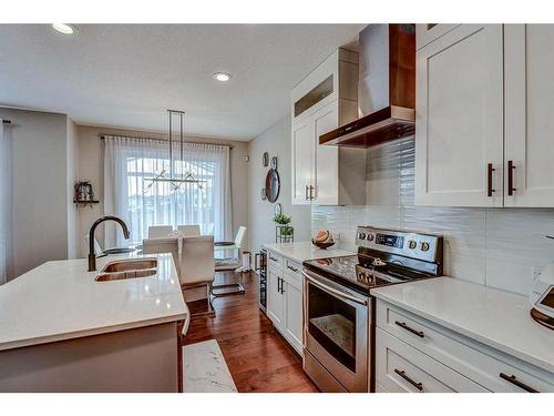 246 Legacy Heights Se, Calgary, AB - Indoor Photo Showing Kitchen With Double Sink With Upgraded Kitchen