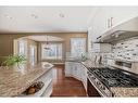 227 Everglade Circle Sw, Calgary, AB  - Indoor Photo Showing Kitchen With Upgraded Kitchen 