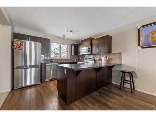225 Skyview Ranch Boulevard Ne, Calgary, AB - Indoor Photo Showing Kitchen With Upgraded Kitchen