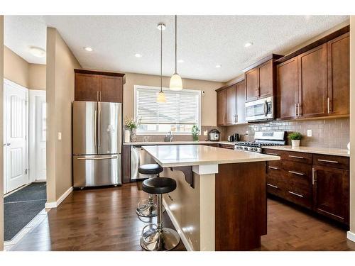 284 Marquis Heights Se, Calgary, AB - Indoor Photo Showing Kitchen With Stainless Steel Kitchen With Upgraded Kitchen