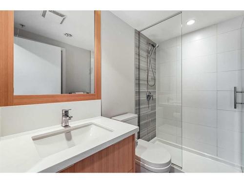 205-560 6 Avenue Se, Calgary, AB - Indoor Photo Showing Bathroom