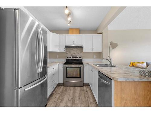 372 Panatella Boulevard Nw, Calgary, AB - Indoor Photo Showing Kitchen With Double Sink