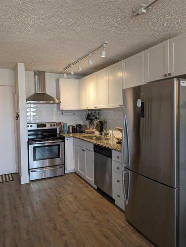304-2130 17 Street Sw, Calgary, AB - Indoor Photo Showing Kitchen With Double Sink