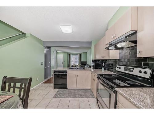 58 Erin Woods Court Se, Calgary, AB - Indoor Photo Showing Kitchen With Double Sink