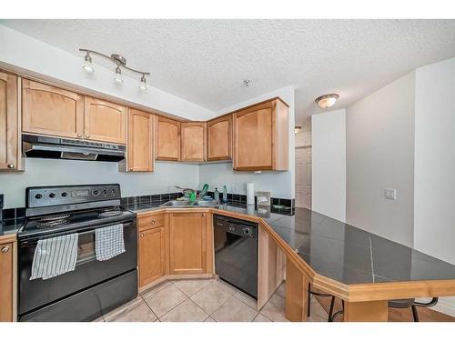 407-1631 28 Avenue Sw, Calgary, AB - Indoor Photo Showing Kitchen With Double Sink