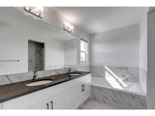 113 Creekside Way Sw, Calgary, AB - Indoor Photo Showing Bathroom