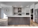 113 Creekside Way Sw, Calgary, AB  - Indoor Photo Showing Kitchen With Upgraded Kitchen 