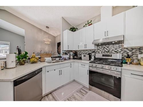 51 Saddlecrest Close Ne, Calgary, AB - Indoor Photo Showing Kitchen With Double Sink With Upgraded Kitchen