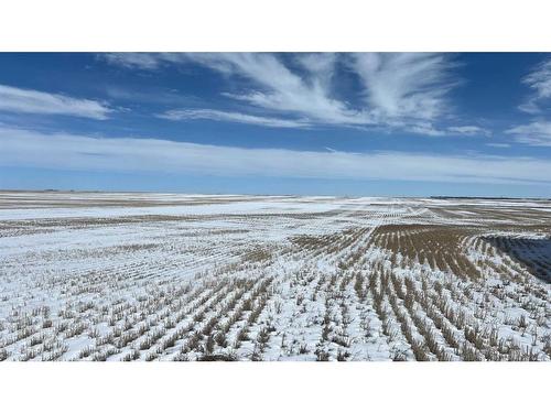 120 Acres Range Road 281, Rural Rocky View County, AB 