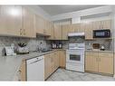 202-138 18 Avenue Se, Calgary, AB  - Indoor Photo Showing Kitchen With Double Sink 