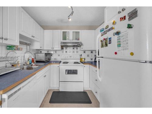 259 Taracove Place Ne, Calgary, AB - Indoor Photo Showing Kitchen With Double Sink