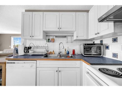 259 Taracove Place Ne, Calgary, AB - Indoor Photo Showing Kitchen With Double Sink