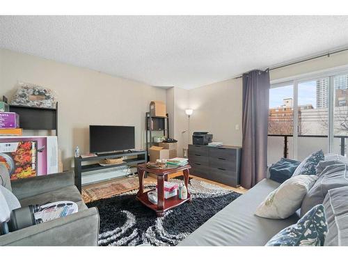 305-1208 14 Avenue Sw, Calgary, AB - Indoor Photo Showing Living Room
