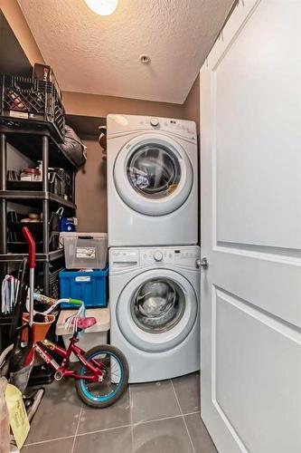 3309-302 Skyview Ranch Drive Ne, Calgary, AB - Indoor Photo Showing Laundry Room