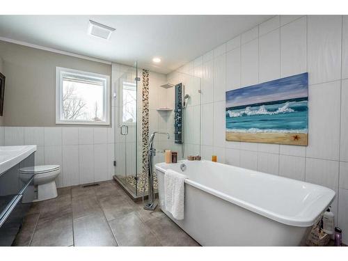 224101 Highway 549 West, Rural Foothills County, AB - Indoor Photo Showing Bathroom