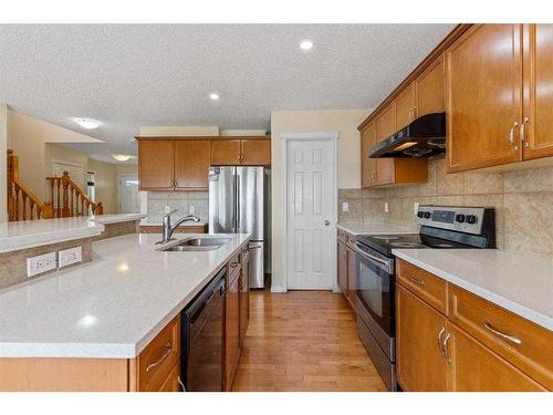 159 Taralake Way Ne, Calgary, AB - Indoor Photo Showing Kitchen With Double Sink With Upgraded Kitchen
