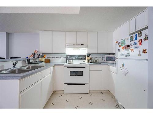 1204 5 Avenue Nw, Calgary, AB - Indoor Photo Showing Kitchen With Double Sink