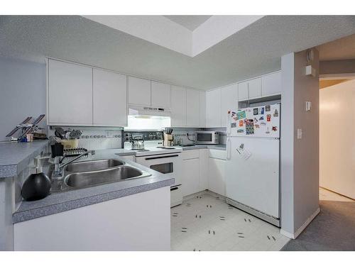 1204 5 Avenue Nw, Calgary, AB - Indoor Photo Showing Kitchen With Double Sink