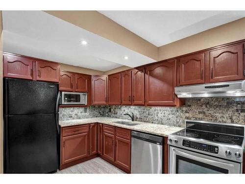 239 Douglasbank Drive Se, Calgary, AB - Indoor Photo Showing Kitchen With Double Sink