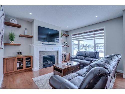 21 Saddlelake Terrace Ne, Calgary, AB - Indoor Photo Showing Living Room With Fireplace