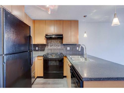 429-35 Richard Court Sw, Calgary, AB - Indoor Photo Showing Kitchen With Double Sink