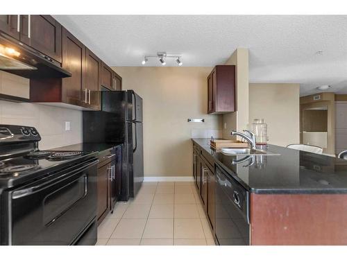 202-195 Kincora Glen Road Nw, Calgary, AB - Indoor Photo Showing Kitchen With Double Sink