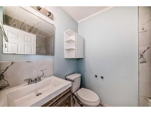 76 Martinbrook Road Ne, Calgary, AB - Indoor Photo Showing Bathroom