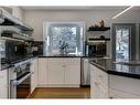 660 Willow Brook Drive Se, Calgary, AB  - Indoor Photo Showing Kitchen With Upgraded Kitchen 