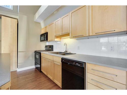 111-1505 27 Avenue Sw, Calgary, AB - Indoor Photo Showing Kitchen With Double Sink