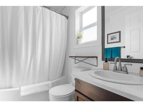 4-10042 Township Road 422, Rural Ponoka County, AB - Indoor Photo Showing Bathroom