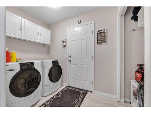 141 West Lakeview Point, Chestermere, AB - Indoor Photo Showing Laundry Room