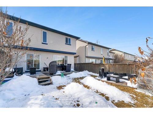141 West Lakeview Point, Chestermere, AB - Outdoor