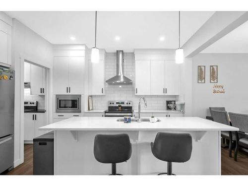 79 Homestead Park Ne, Calgary, AB - Indoor Photo Showing Kitchen With Stainless Steel Kitchen With Upgraded Kitchen