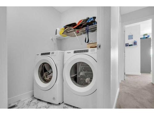 79 Homestead Park Ne, Calgary, AB - Indoor Photo Showing Laundry Room
