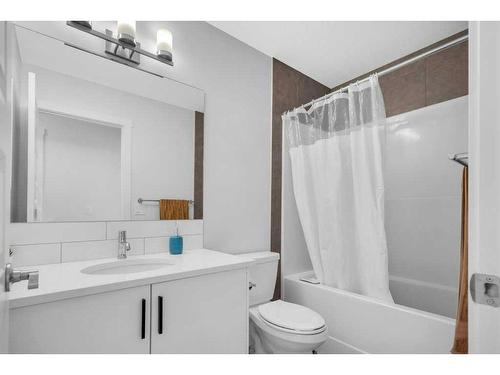 79 Homestead Park Ne, Calgary, AB - Indoor Photo Showing Bathroom