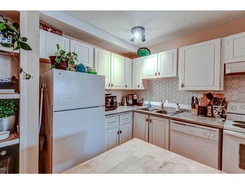 24-643 4 Avenue Ne, Calgary, AB - Indoor Photo Showing Kitchen With Double Sink