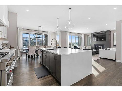 117 Cranbrook Point Se, Calgary, AB - Indoor Photo Showing Kitchen With Upgraded Kitchen