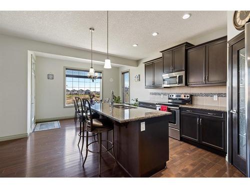 381 Saddlemont Boulevard Ne, Calgary, AB - Indoor Photo Showing Kitchen With Stainless Steel Kitchen With Upgraded Kitchen