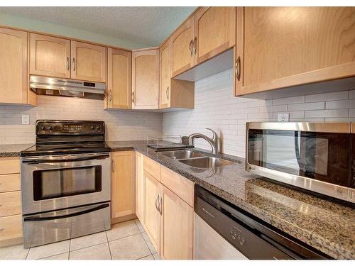402-1123 13 Avenue Sw, Calgary, AB - Indoor Photo Showing Kitchen With Double Sink