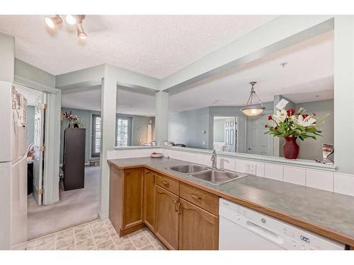 204-2212 34 Avenue Sw, Calgary, AB - Indoor Photo Showing Kitchen With Double Sink