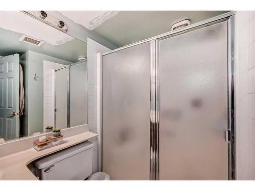204-2212 34 Avenue Sw, Calgary, AB - Indoor Photo Showing Bathroom