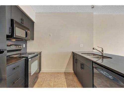 614-8710 Horton Road Sw, Calgary, AB - Indoor Photo Showing Kitchen With Double Sink