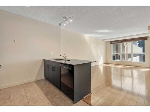 614-8710 Horton Road Sw, Calgary, AB - Indoor Photo Showing Kitchen With Double Sink