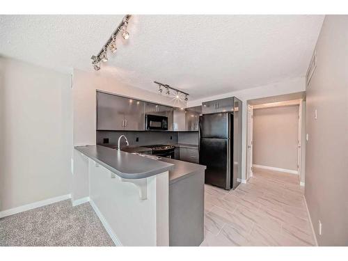 204-188 15 Avenue Sw, Calgary, AB - Indoor Photo Showing Kitchen