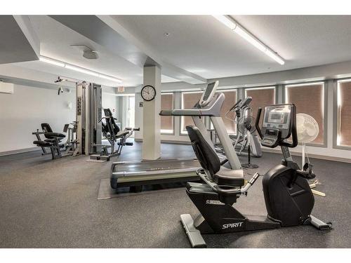 103-30 Cranfield Link Se, Calgary, AB - Indoor Photo Showing Gym Room