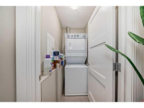 308-518 33 Street Nw, Calgary, AB - Indoor Photo Showing Laundry Room